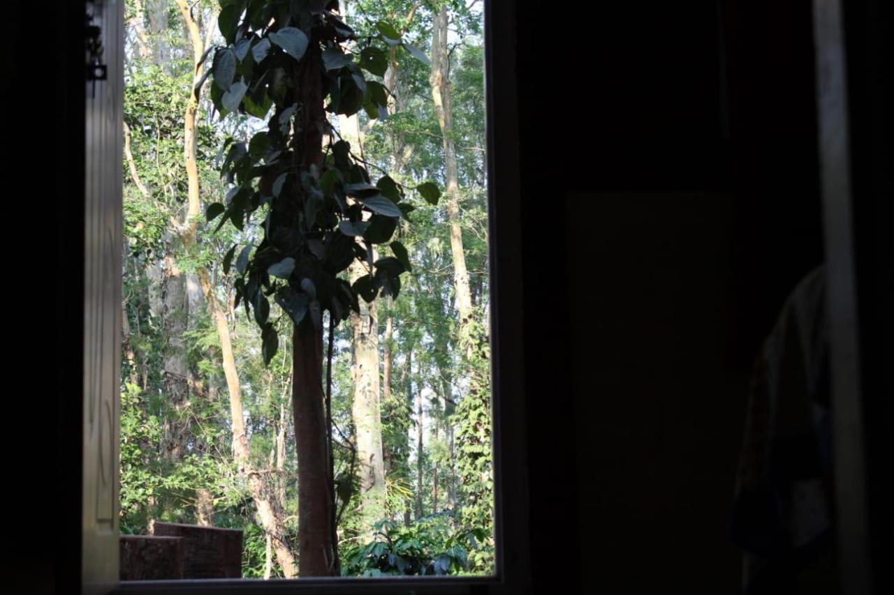 Kaikane Homestay Madikeri Eksteriør bilde