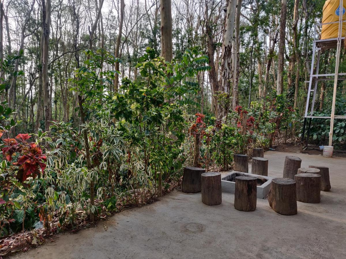 Kaikane Homestay Madikeri Eksteriør bilde